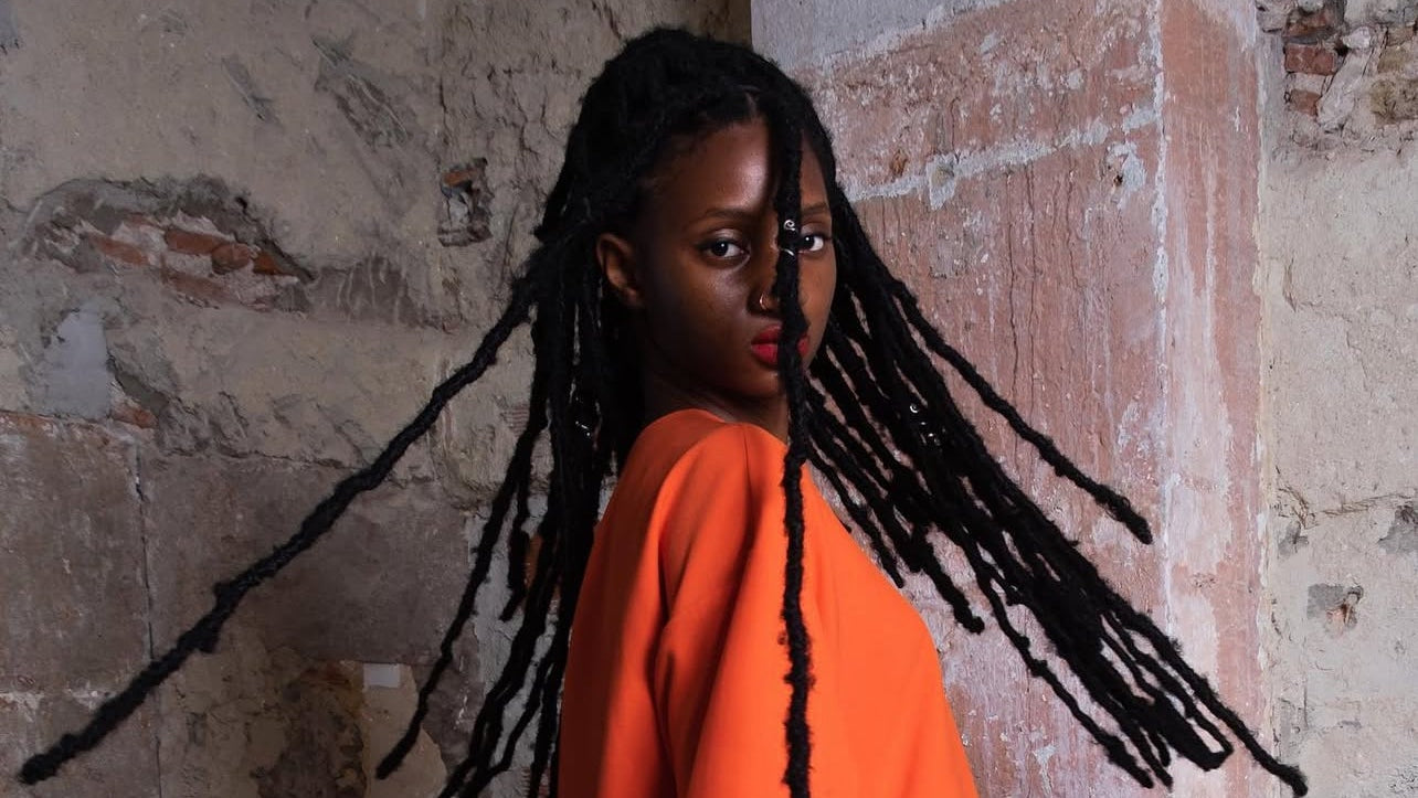 "Attention Attractor"